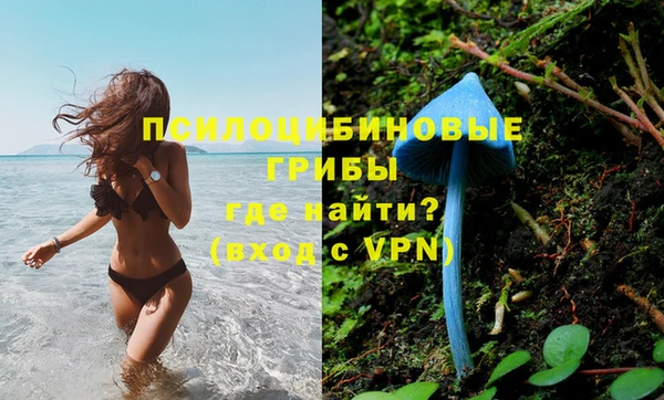 спиды Алзамай